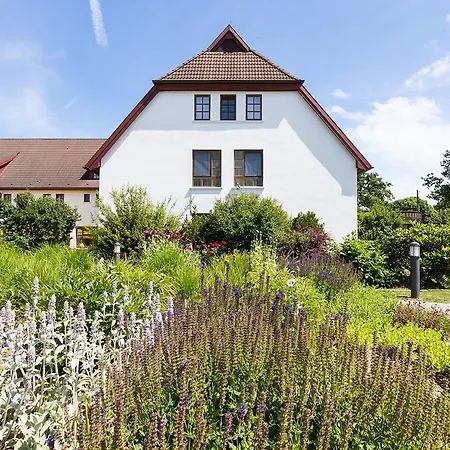 Hotel Ringhotel Warnemünder Hof 4*