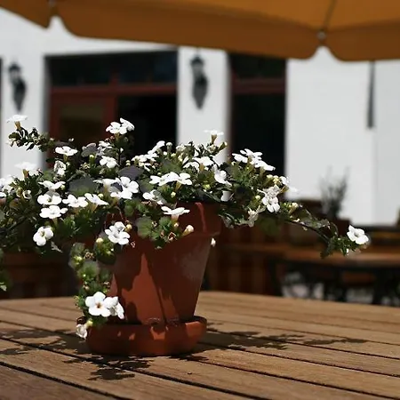 Ringhotel Warnemünder Hof 4* Rostock