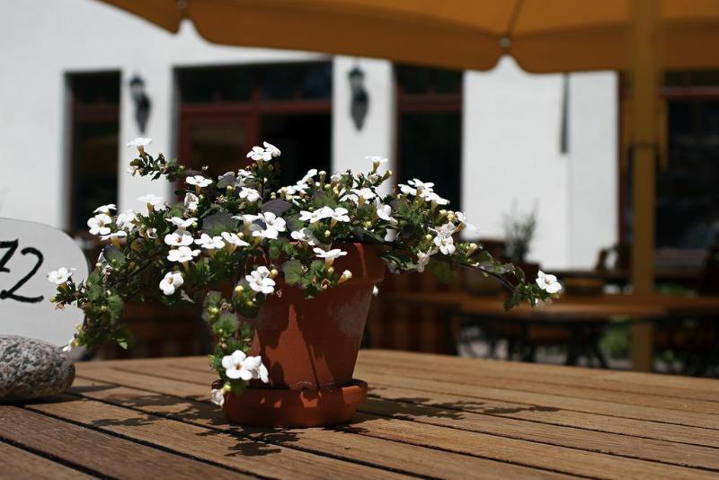 Ringhotel Warnemuender Hof 4* Rostock